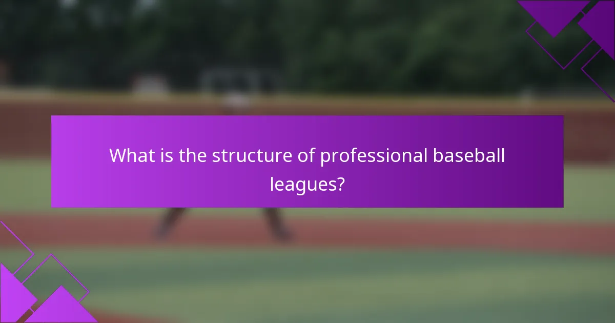 What is the structure of professional baseball leagues?