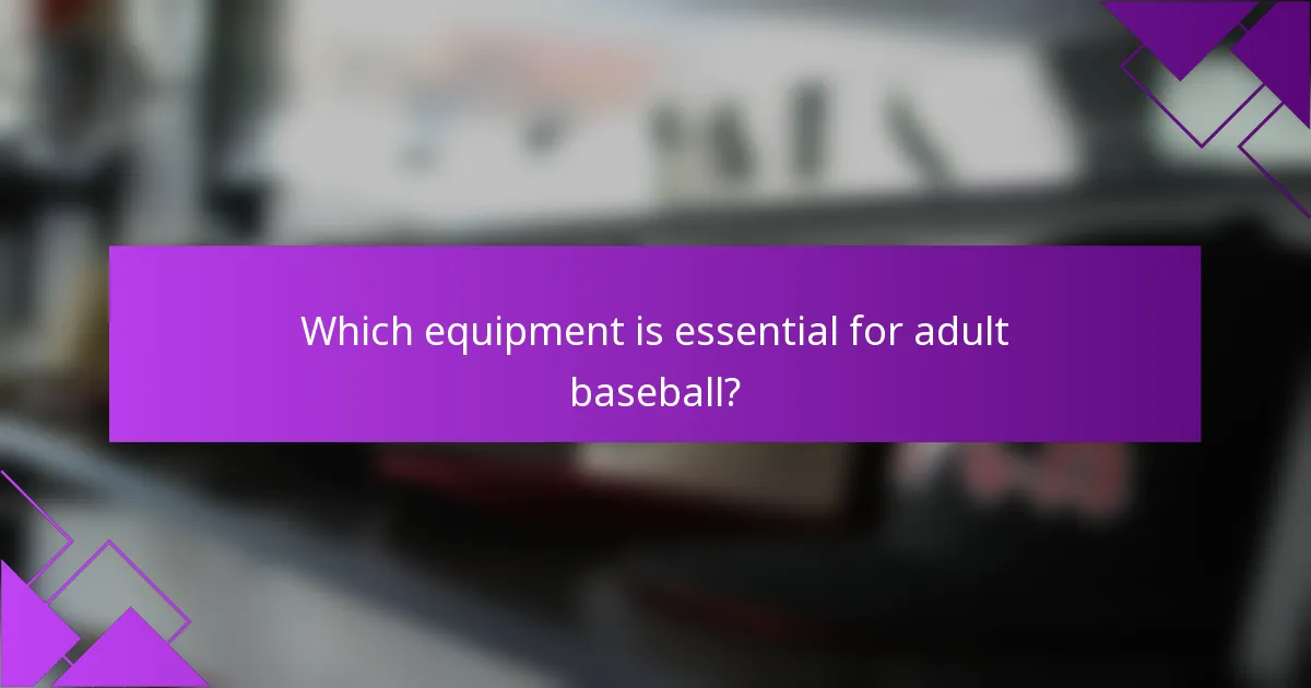 Which equipment is essential for adult baseball?